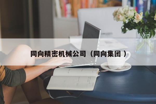 同向精密機(jī)械公司（同向集團(tuán) ）